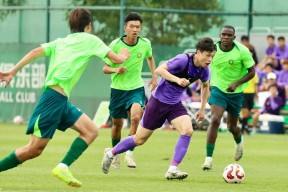 爱游戏-今晚拉齐奥调整名单以备全明星赛，队长鼓劲环节打磨，赛场秩序良好，身体对抗强度拉满的简单介绍