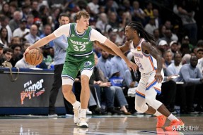 爱游戏-印第安纳步行者球队介绍